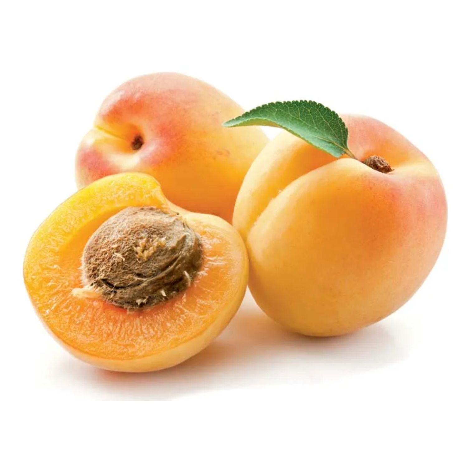 Apricot KG